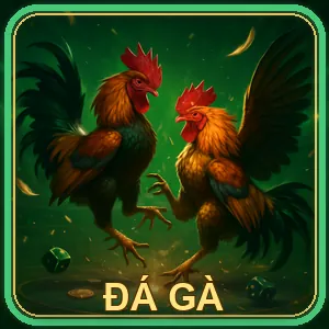 Hoàn trả cược đá gà hàng ngày