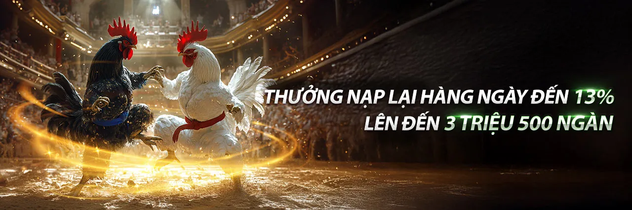 Chương trình VIP ricvip đăng nhập với các cấp độ sang trọng