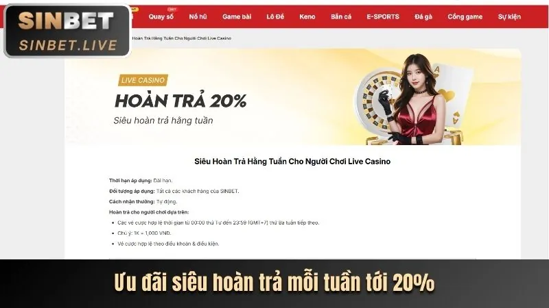Hình ảnh hướng dẫn đăng ký tài khoản Ricvip từng bước
